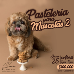 Pastelería para Mascotas 2 – Curso Presencial