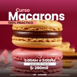 MACARONS 100% PRACTICO