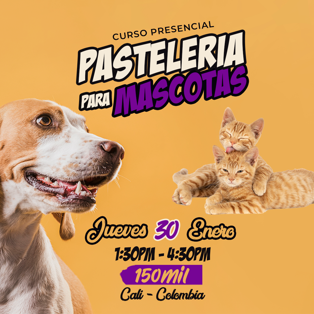 PASTELERÍA-PARA-MASCOTAS-1-Enero-Curso-Clases-Cali-SAM