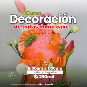 DECORACION DE TORTA "DOMO CAKE"