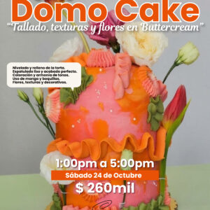 DECORACIÓN DE TORTAS - “DOMO CAKE”